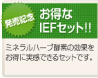 ������IEF�Z�b�g