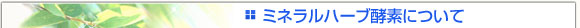 �~�l�����n�[�u�y�f�ɂ���