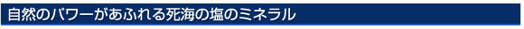R̃p[ӂ鎀C̉̃~l